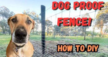 build a dog proof fence