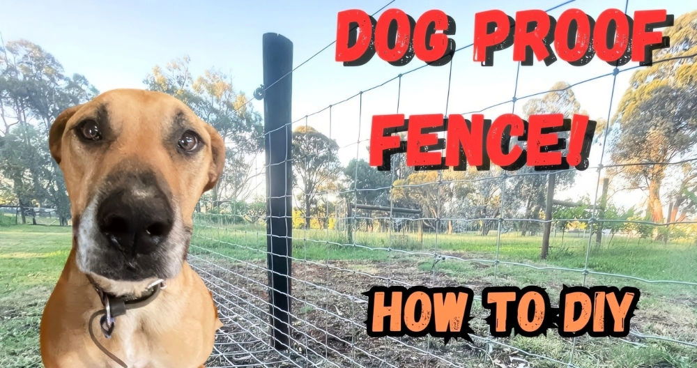 build a dog proof fence