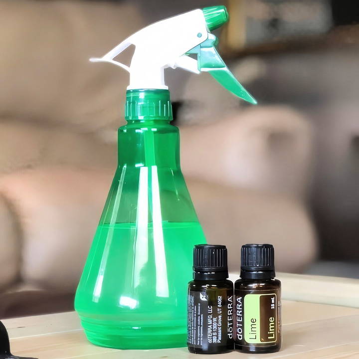 diy natural spider repellent