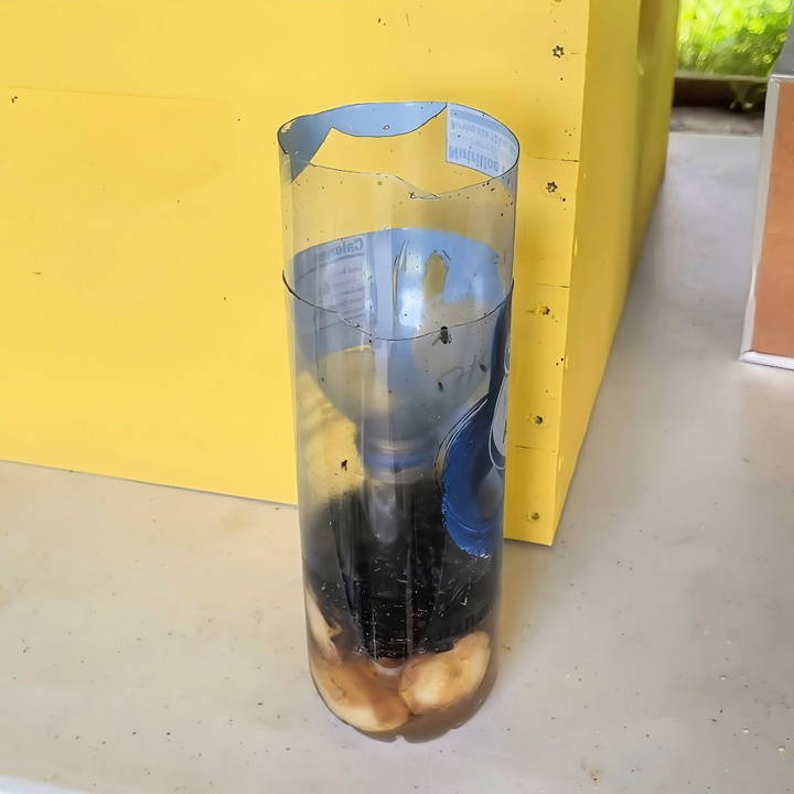 easy homemade fly trap