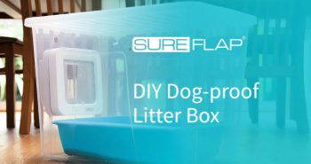 easy to make a dog proof litter box