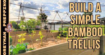 handmade bamboo trellis