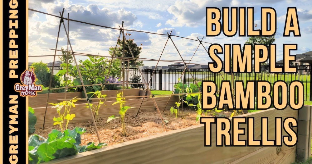 Building a DIY Bamboo Trellis