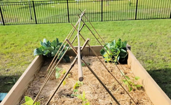 how to make a bamboo trellis