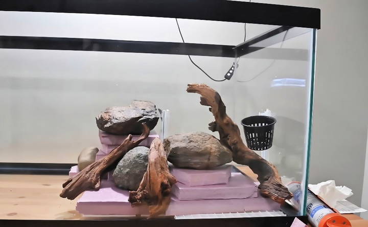 how to make a turtle tank