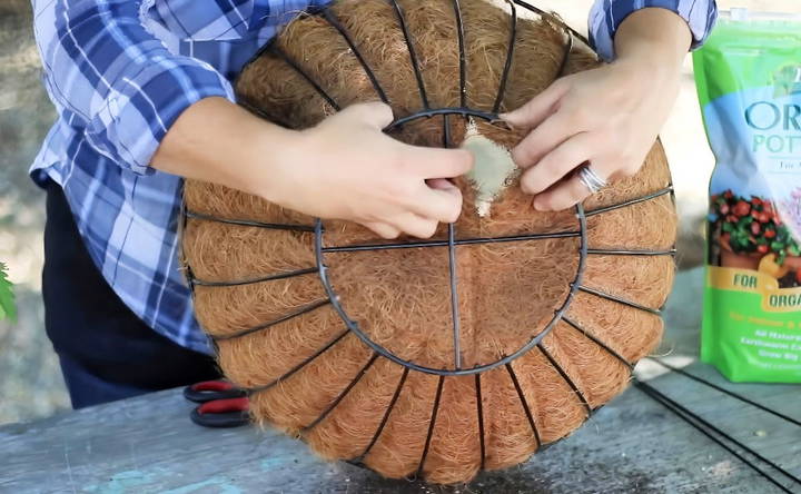 how to make an upside down tomato planter