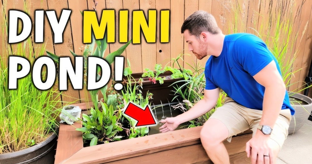 DIY Patio Pond: A Beginner's Guide