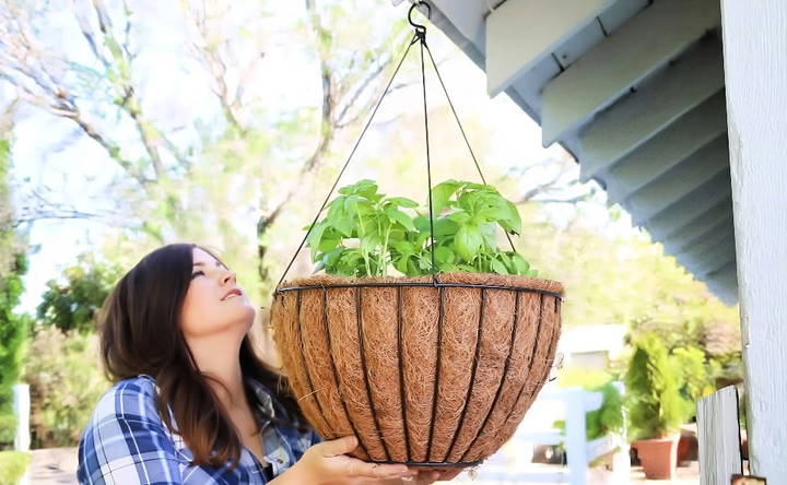 making an upside down tomato planter