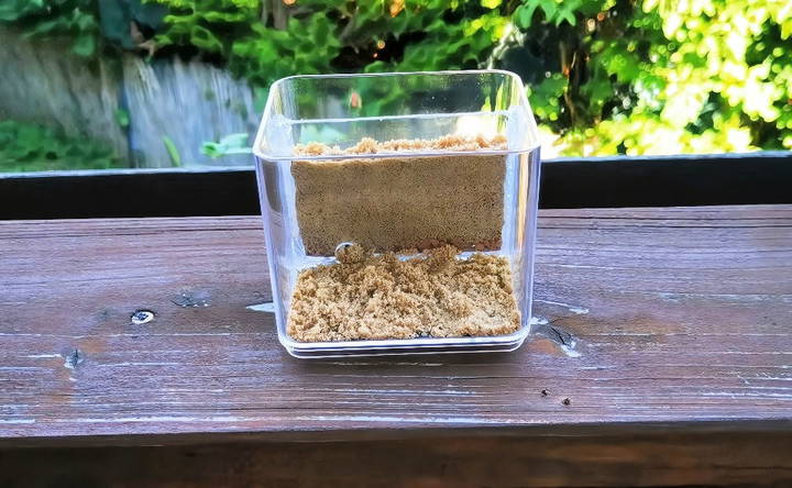 making your own ant farm