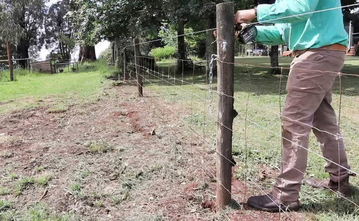 removing the old fence