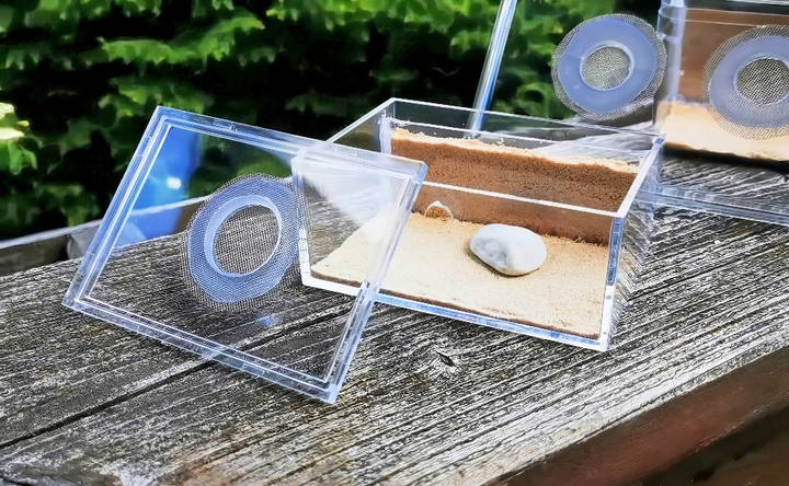 simple homemade ant farm