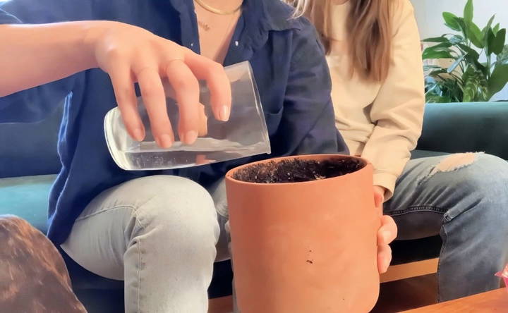 watering your plant