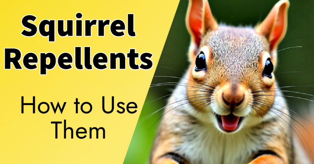 Top 10 Natural Squirrel Repellents: Scents They Dislike
