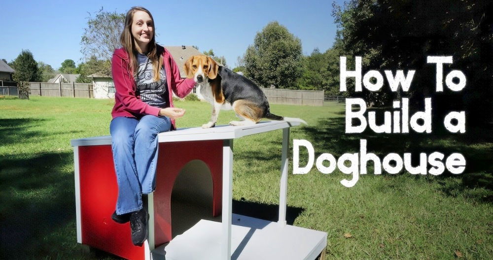 Building a DIY Dog House with a Porch