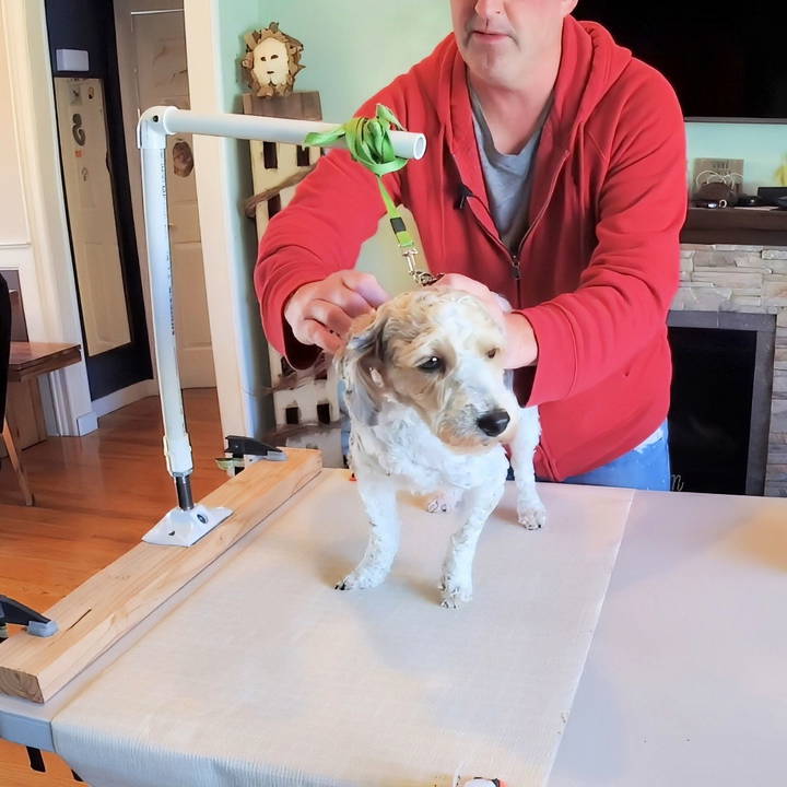 easy diy dog grooming table