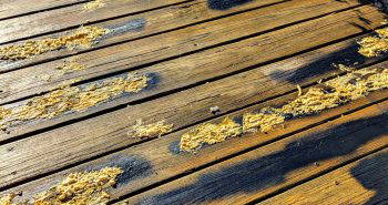 expert tips for correcting DIY deck stain mistakes