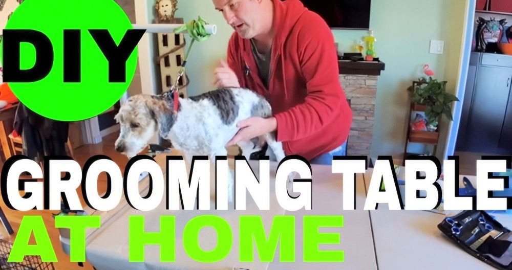 Making a DIY Dog Grooming Station