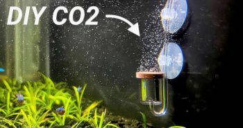 how to make a co2 aquarium