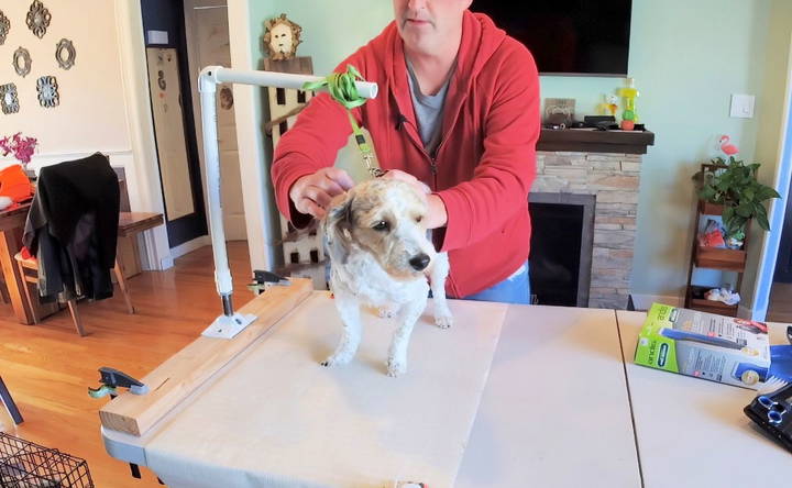 how to make a dog grooming table