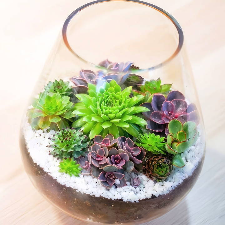 how to make a succulent terrarium