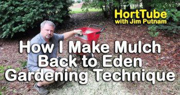 how to make mulch at home