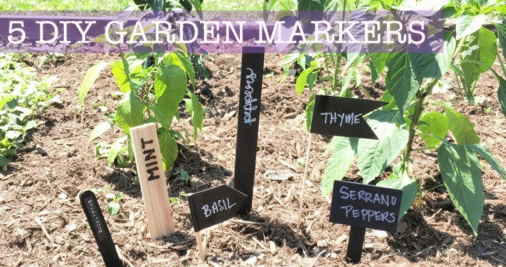 5 Cheap and Easy DIY Plant Markers for Your Garden
