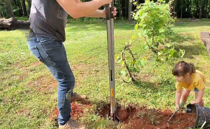 preparing the area and digging holes