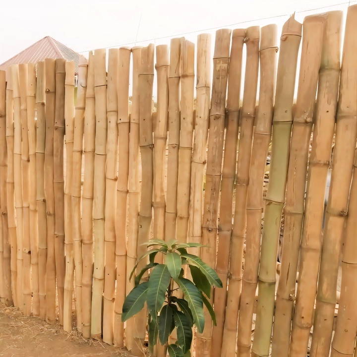 simple diy bamboo fence