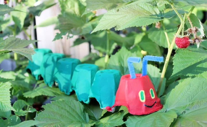 DIY egg carton caterpillar