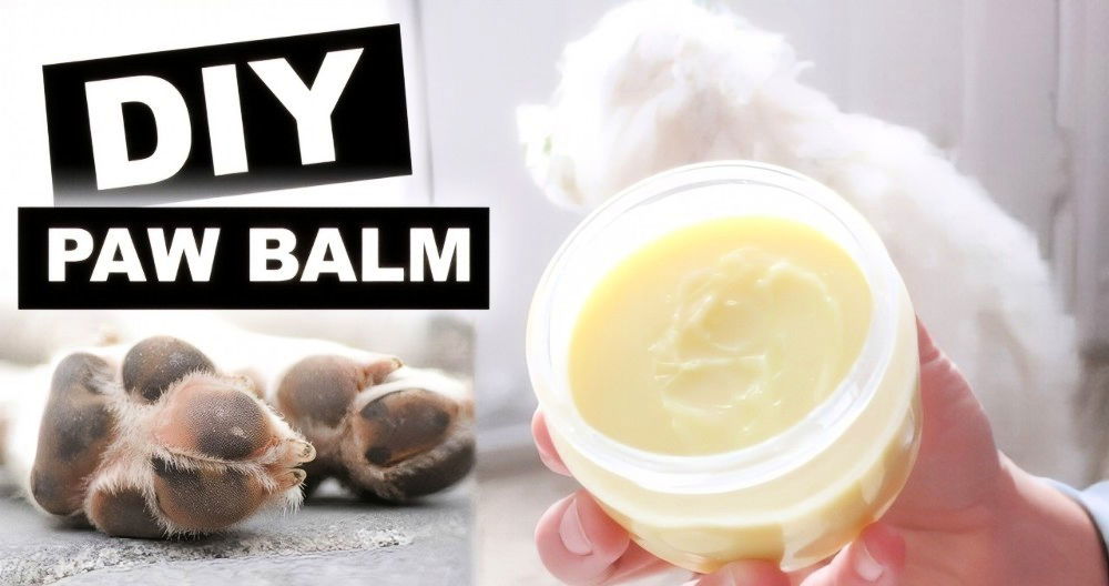 Quick DIY Dog Paw Balm Recipe