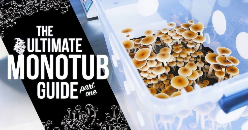build your own monotub
