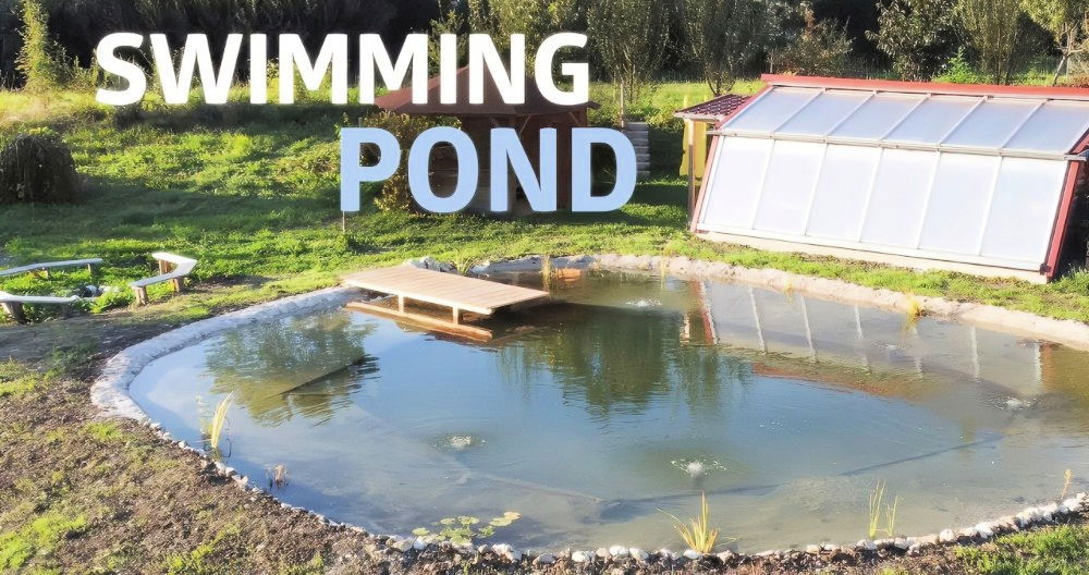 How to Build a DIY Natural Swimming Pool