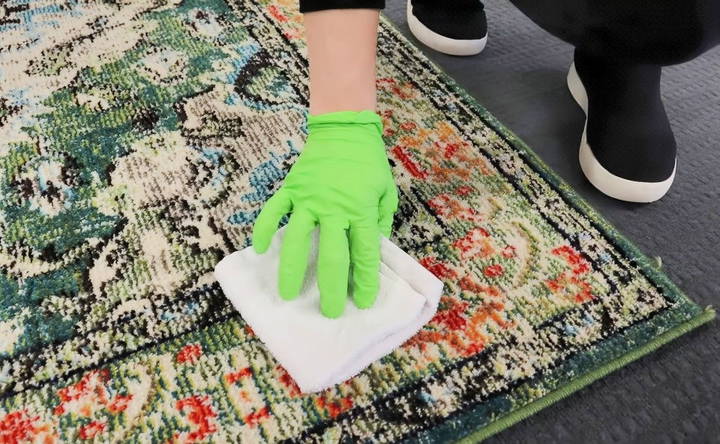 clean a rug in an apartment