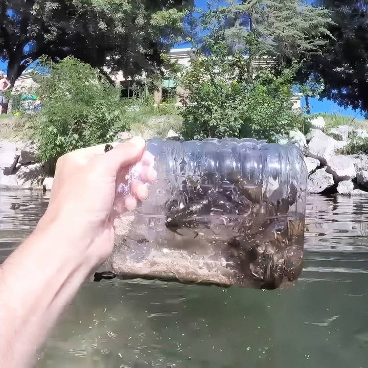 diy crawfish traps out of plastic bottles