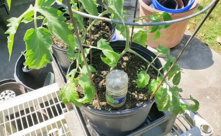 diy watering globes for plants