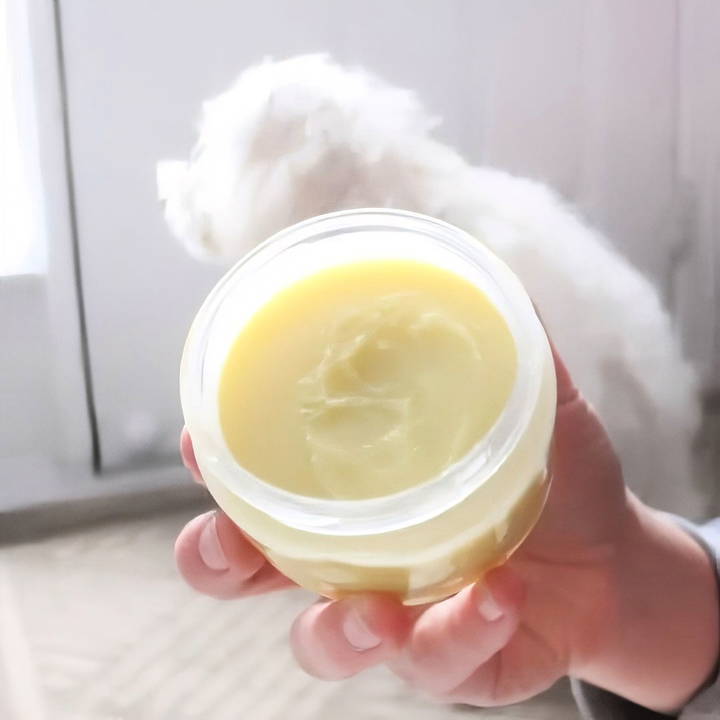 easy diy dog paw balm tutorial