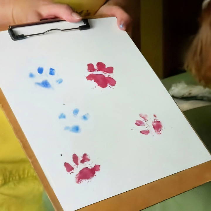 easy diy paw print painting