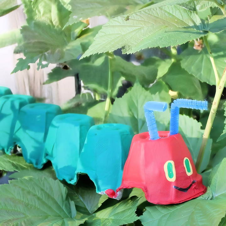 egg carton caterpillar craft