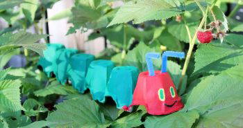 handmade egg carton caterpillar