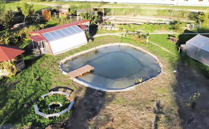 how to build a natural swimming pond