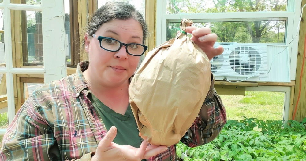 How to Make a DIY Fake Wasp Nest
