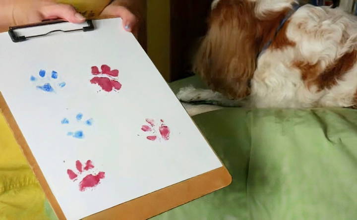 how to make a paw print painting