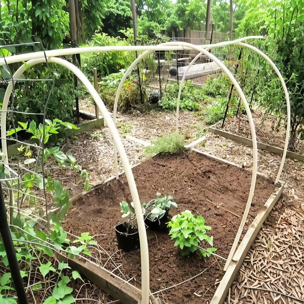 Making a DIY PVC Trellis at Home