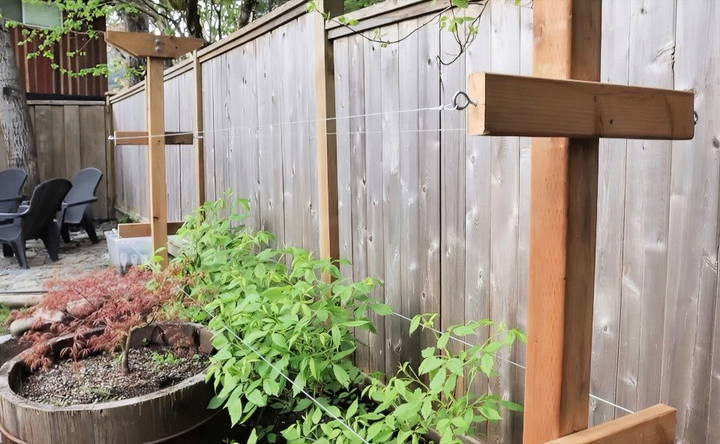 how to make a raspberry trellis