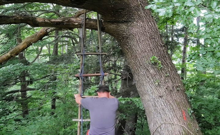 how to make a rope ladder