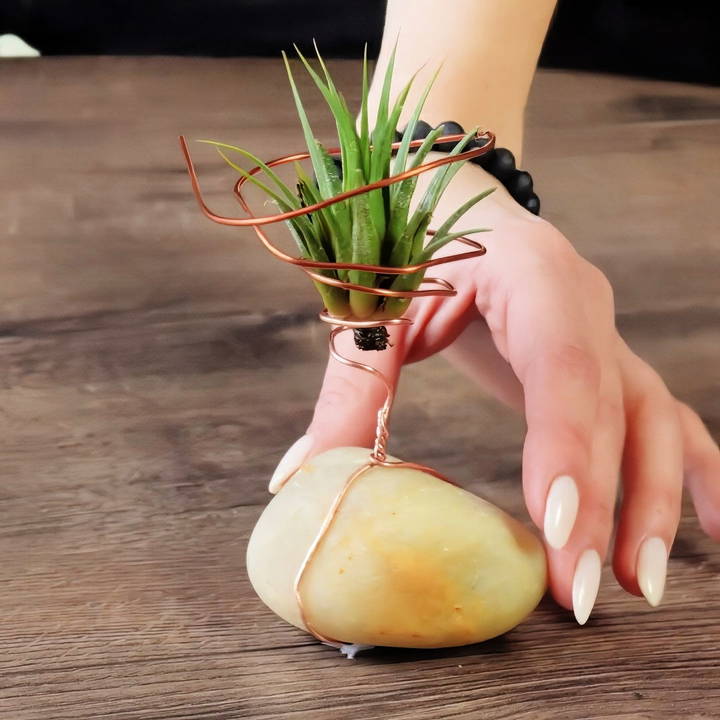 how to make an air plant holder