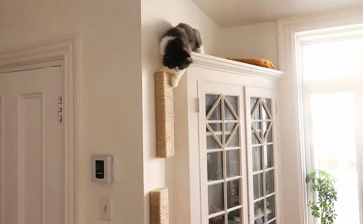 installing the cat shelves