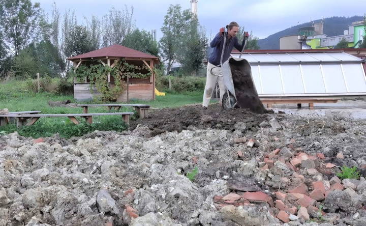 landscaping around the pool