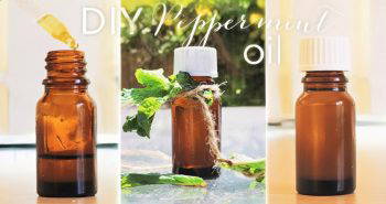 make your own peppermint oil