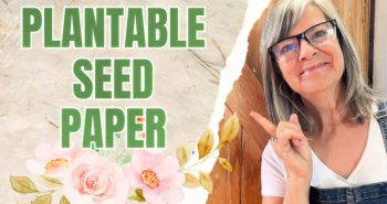 make your own seed paper